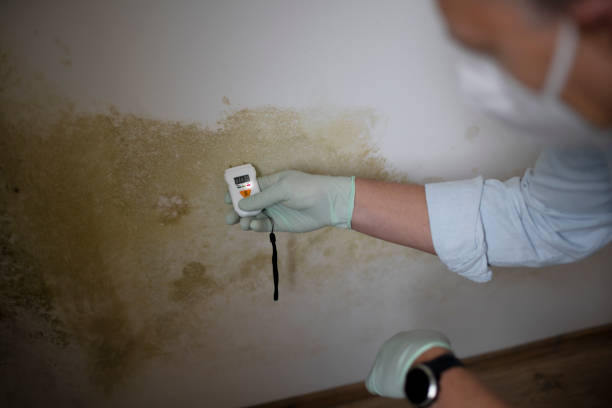 Best Mold Inspection  in Hartland, WI