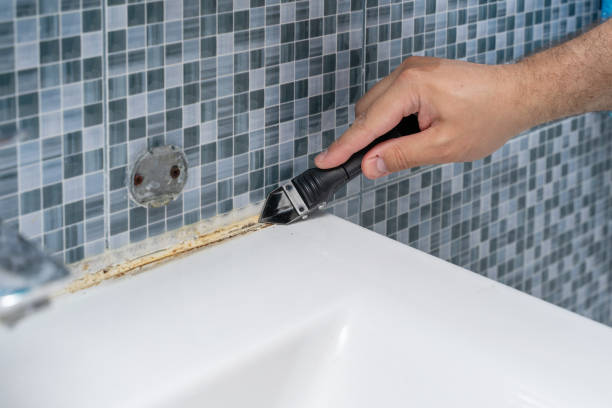 Best Local Mold Removal Service  in Hartland, WI